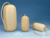 Bóng lấy mẫu khí